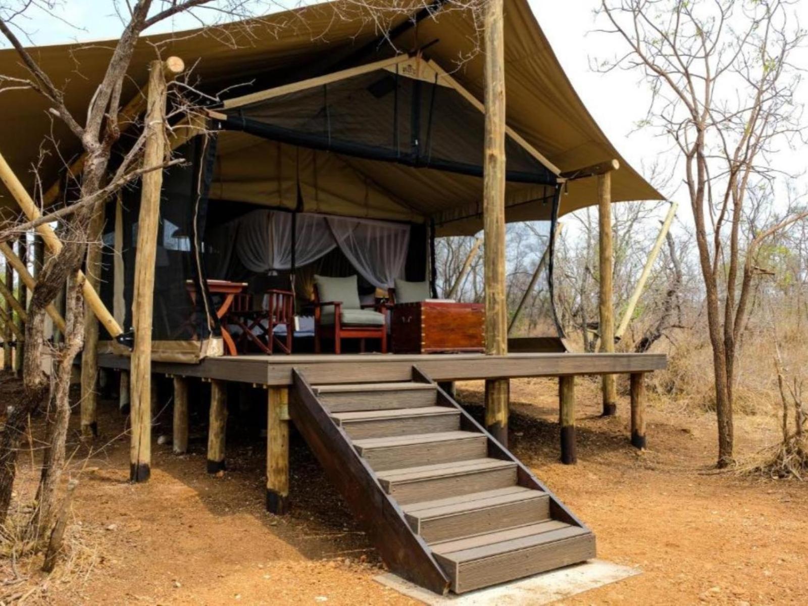 Honeyguide Tented Safari Camps - Mantobeni Wildreservat Manyeleti Zimmer foto
